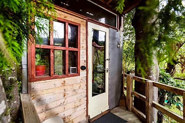 Photo 1 of 9 of The Treehut at the Rabbithole, Upper Hutt