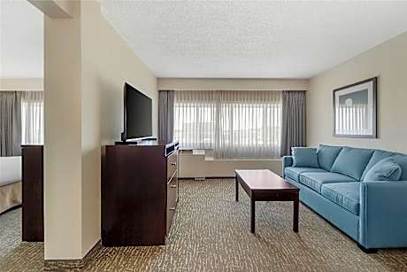 Suite-1 King Bed Non-Smoking Sofabed Refrigerator Wi-Fi Full Breakfast