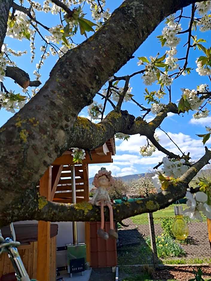 Sziget Gyöngye Vendégház