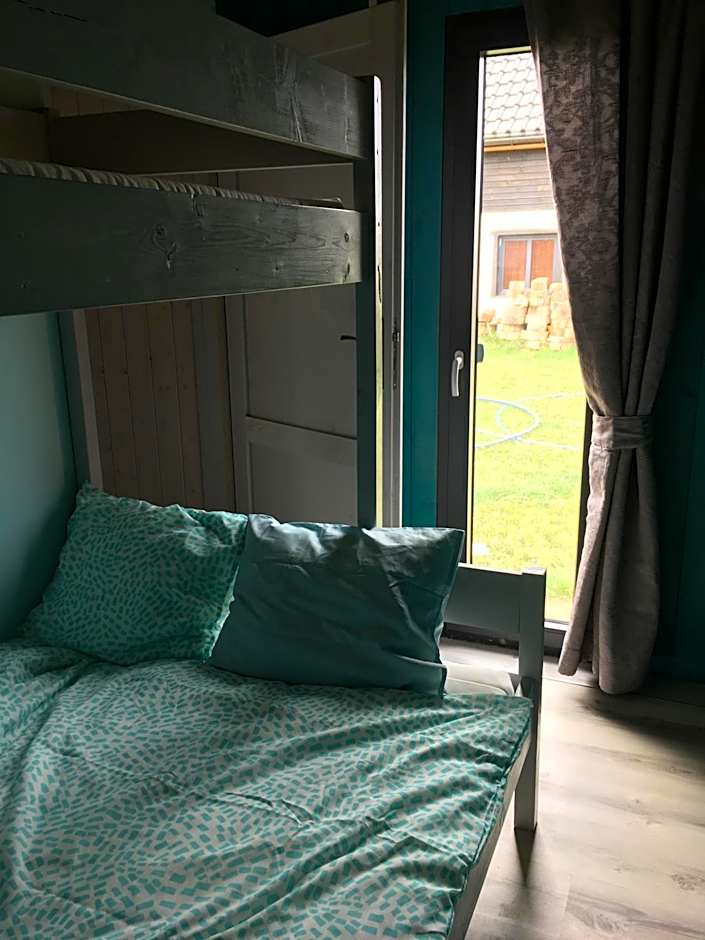 Koniczynka Jarosławiec