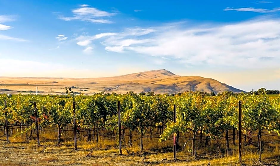 Holiday Inn Express and Suites Union Gap- Yakima Area By IHG