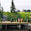 Blåfjell hundesenter fjellhotell