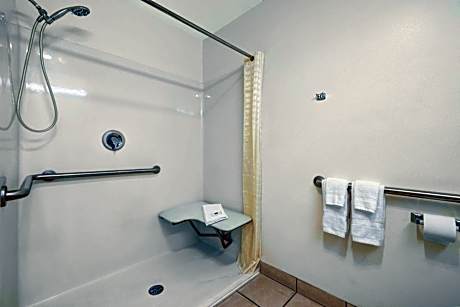 1 Queen Bed - Mobility Accessible Tub Non-Smoking
