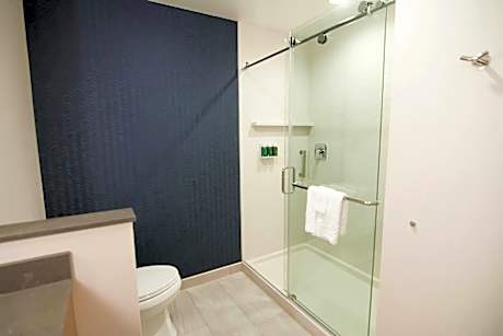 King Suite with Sofa Bed
