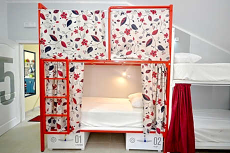 Bunk Bed in Mixed Dormitory Room