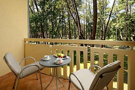CLASSIC ROOM WITH BALCONY PARK SIDE