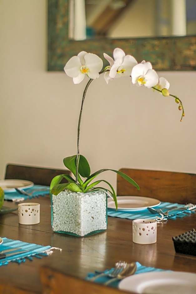 Miu Villa - Seminyak