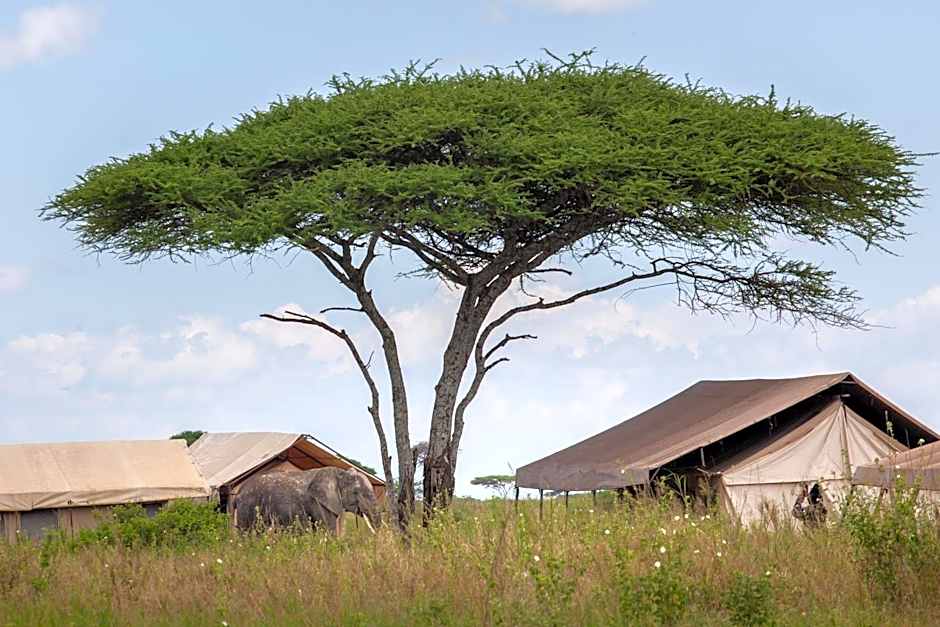 Mawe Tented Camp