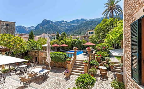 The Salvia - Adults Only