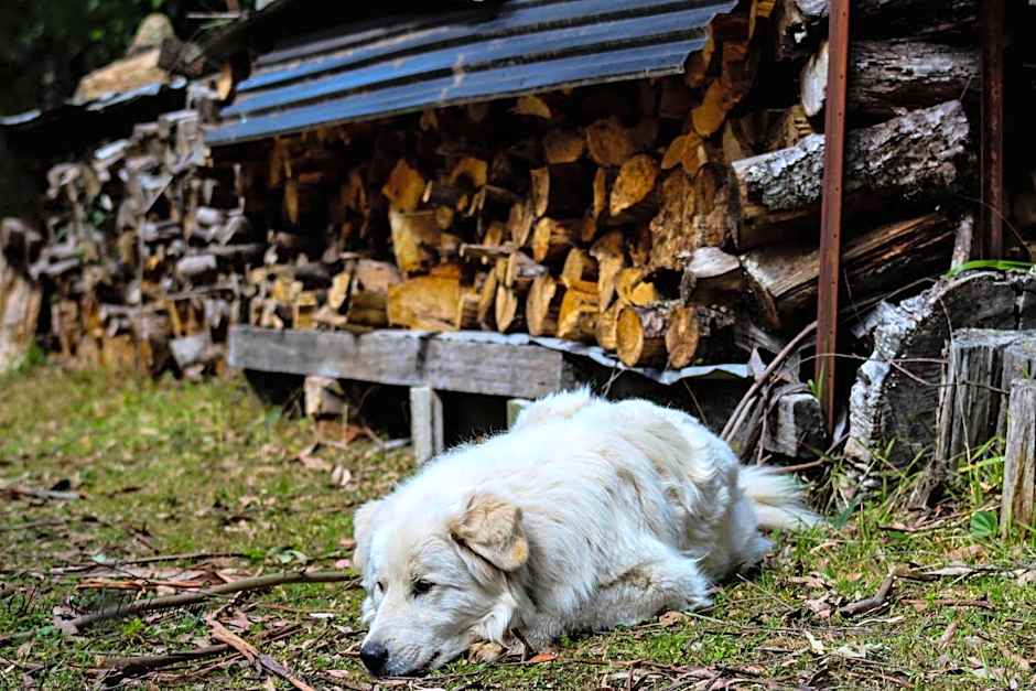 Tomah Retreat - Studio CHILL with fireplace and clawfoot bath