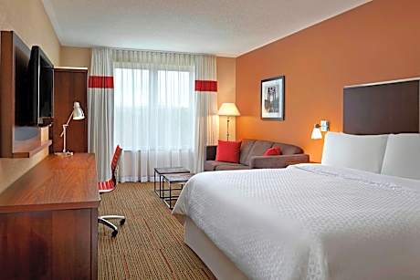 King Room with Sofa Bed