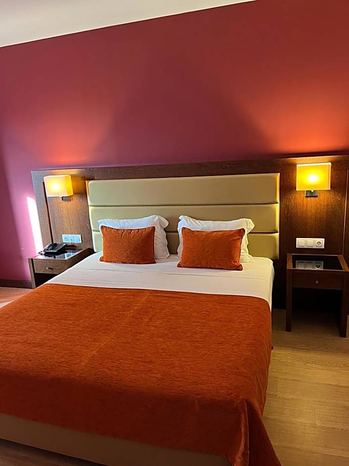 Palace Hotel & SPA Termas do Bicanho