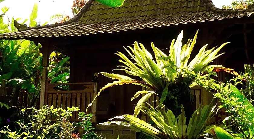 Bali Mountain Retreat