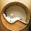 ette luxury hotel & spa