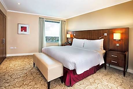 Superior Suite, 1 Bedroom (1 King Bed and 1 Double Sofa Bed)