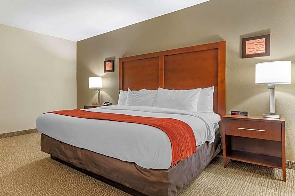 Comfort Inn & Suites Clemson - University Area 