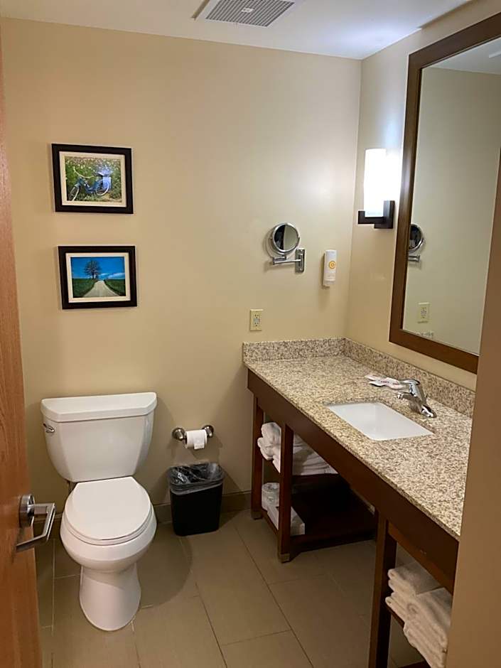 Comfort Suites Hotel and Conference Center
