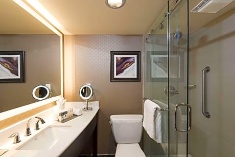 1 King Bed Hearing Accessible