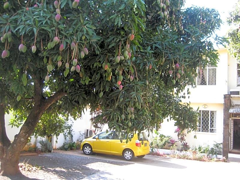 Le Cactus Guest House