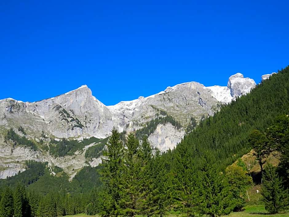 Der Bodenbauer