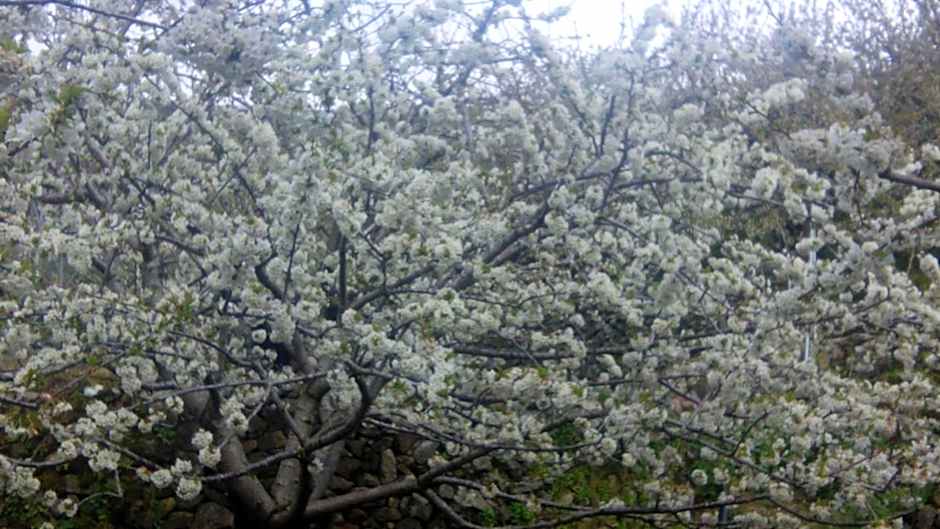 Antigua Posada, Valle del Jerte