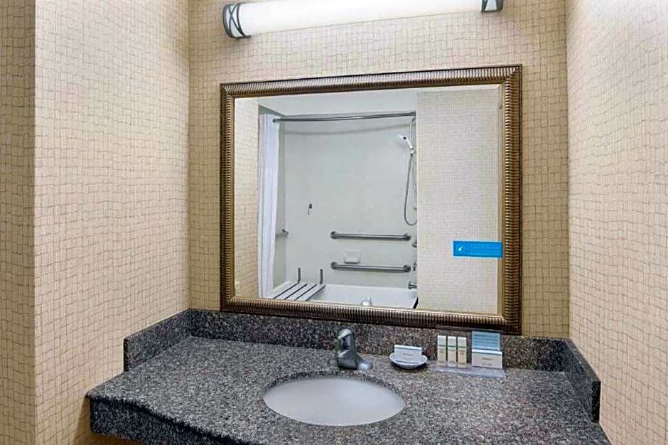 Hampton Inn By Hilton And Suites Savannah-Airport