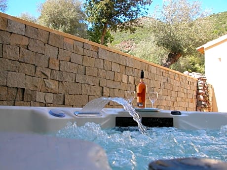 L'oliveraie du Fango