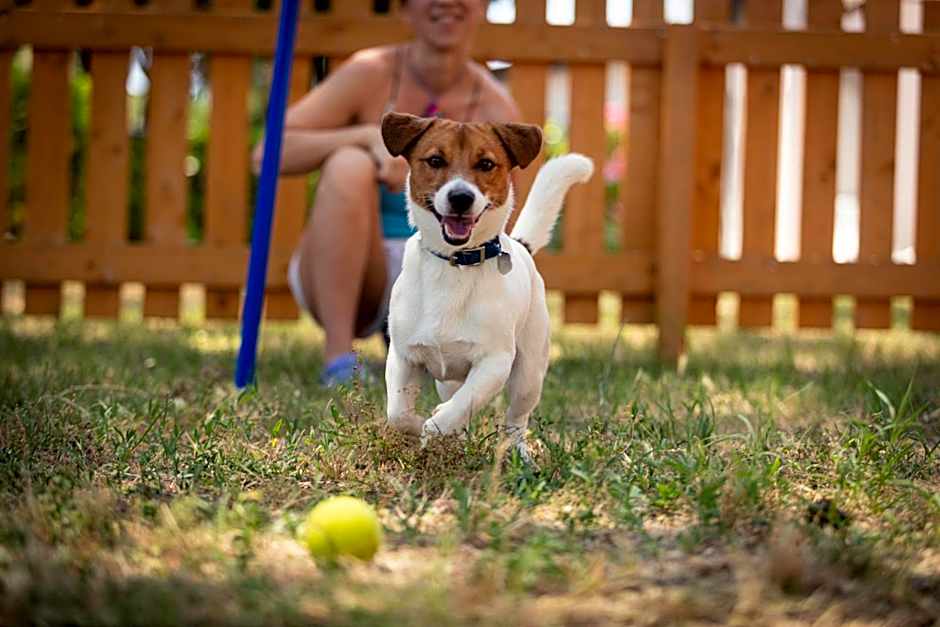 Residence Punta Spin