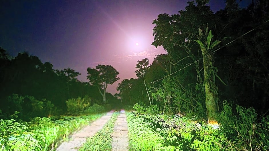 Energy Tulum Holistic Ranch
