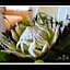 La Fontaine Guest House Hermanus