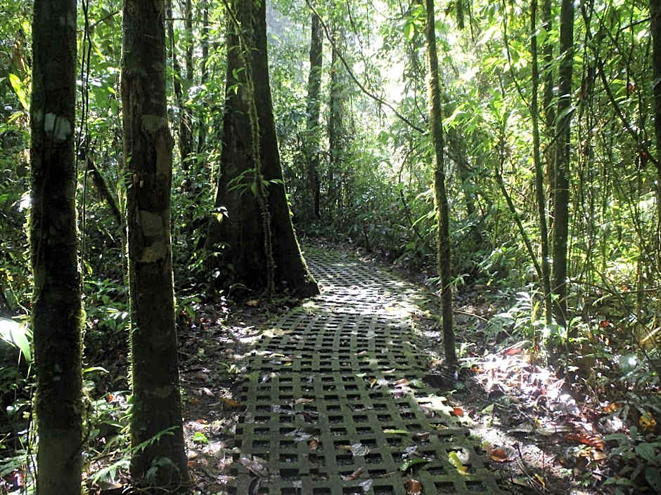 Finca Luna Nueva Lodge