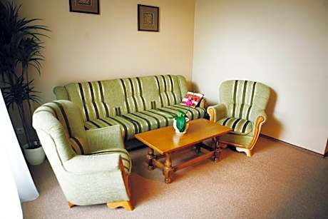 One-Bedroom Apartment with Sofa Bed