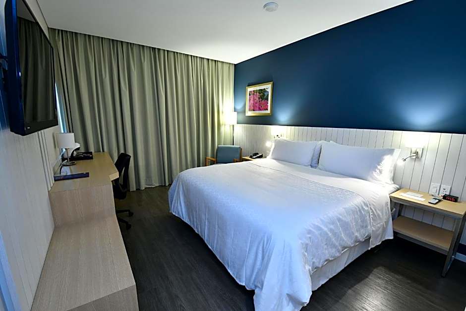 Holiday Inn Express Asuncion Aviadores