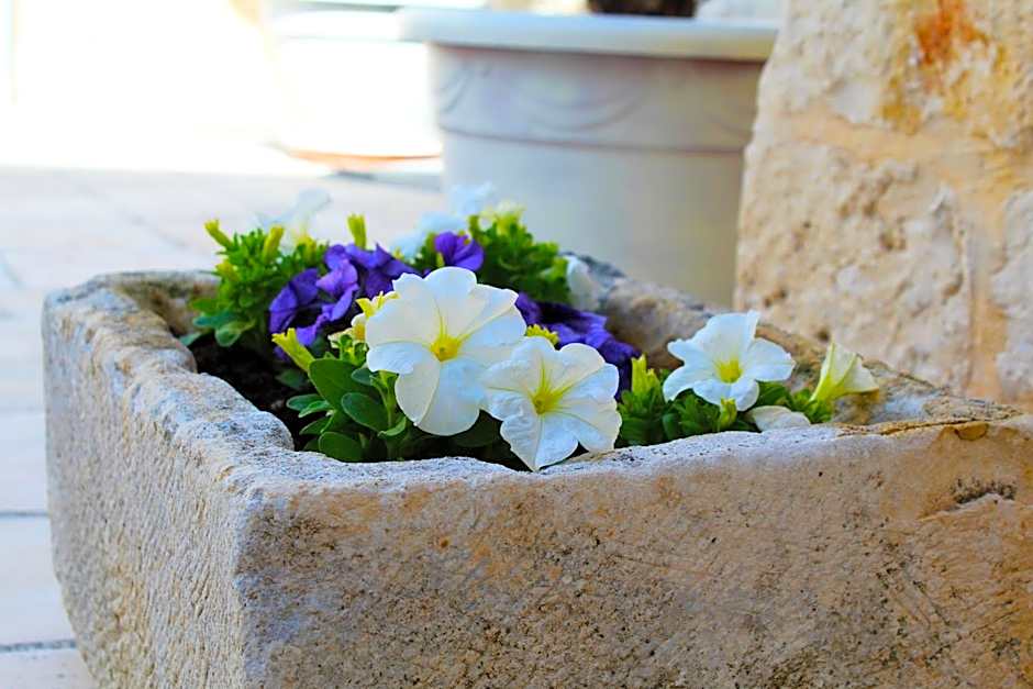Trulli Antica Fonte