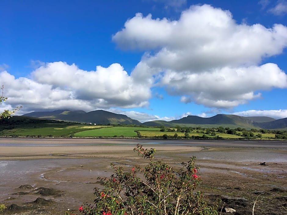 O'Connors Guesthouse