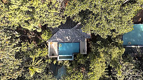 Wayanad Ranches Resorts