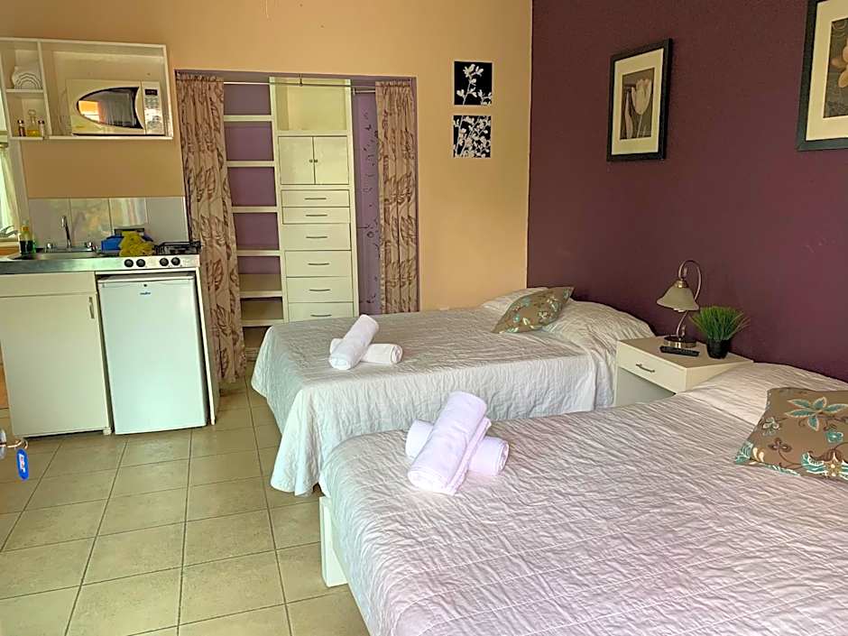 Satya Suites & Portal San Angel Flats