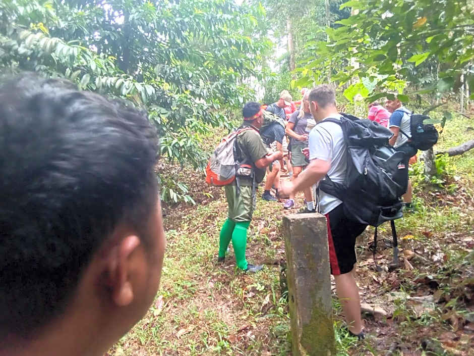 Jungle treking & Jungle Tour if you want to stay here,you must book treking only with us