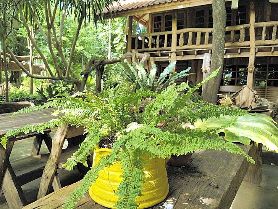 Baanmai Phaipa House