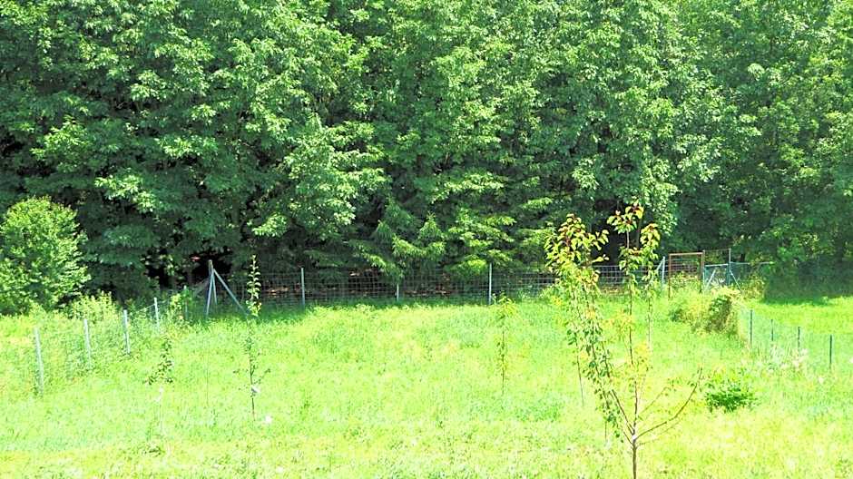 Hőforrás Wellness Vendégház