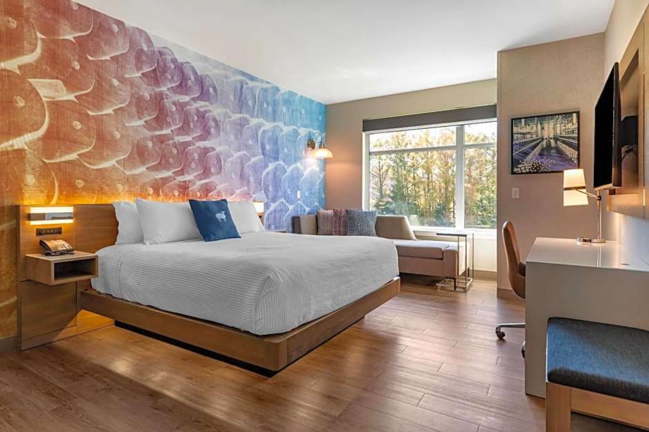 Cambria Hotel Manchester South Windsor