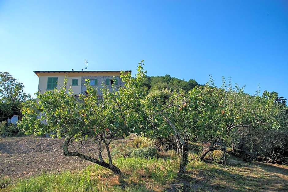 La Beppa - Casa Vacanza