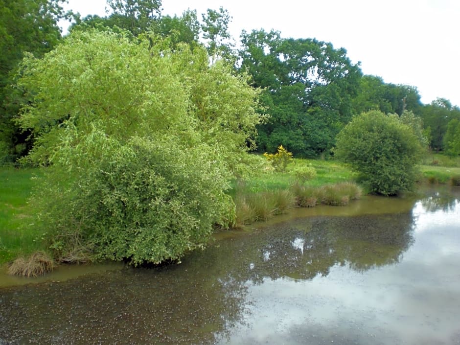 Chambres d'hôtes du Moulin de la Chaussee