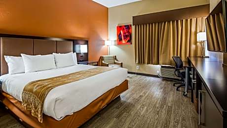 King Room with Roll-In Shower - Mobility Access/Communication Assistance