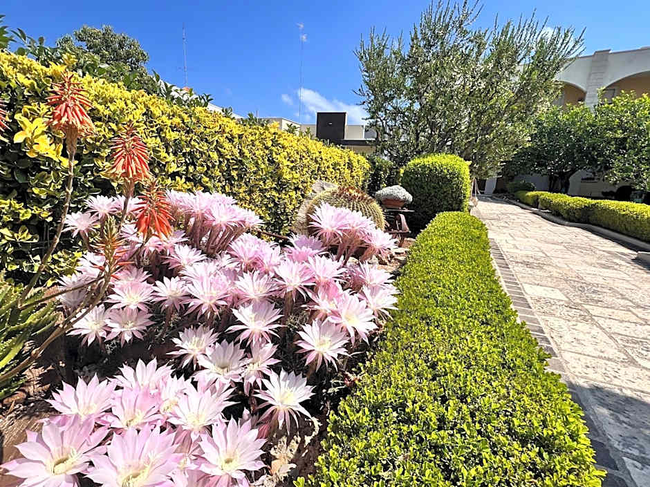 B&B La Rosa Blu