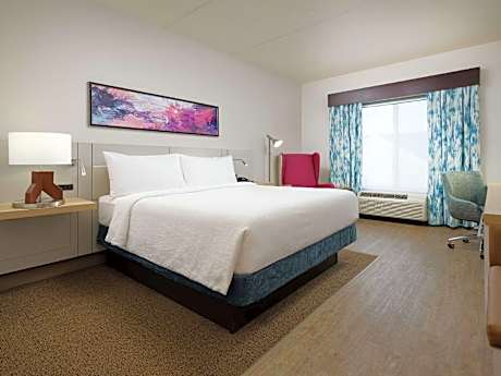 1 King Bed