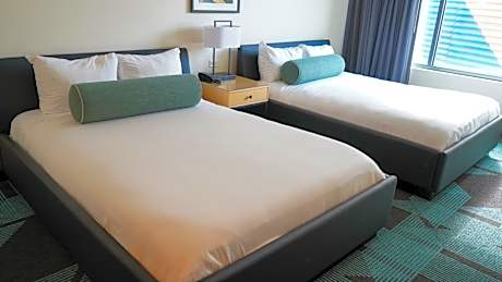 Double Room - Disability Access