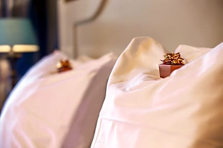 Superior Double or Twin Room with Terrace