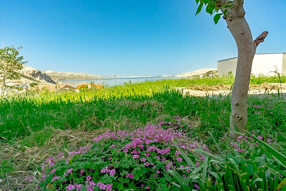 Mladen 2 with seaview