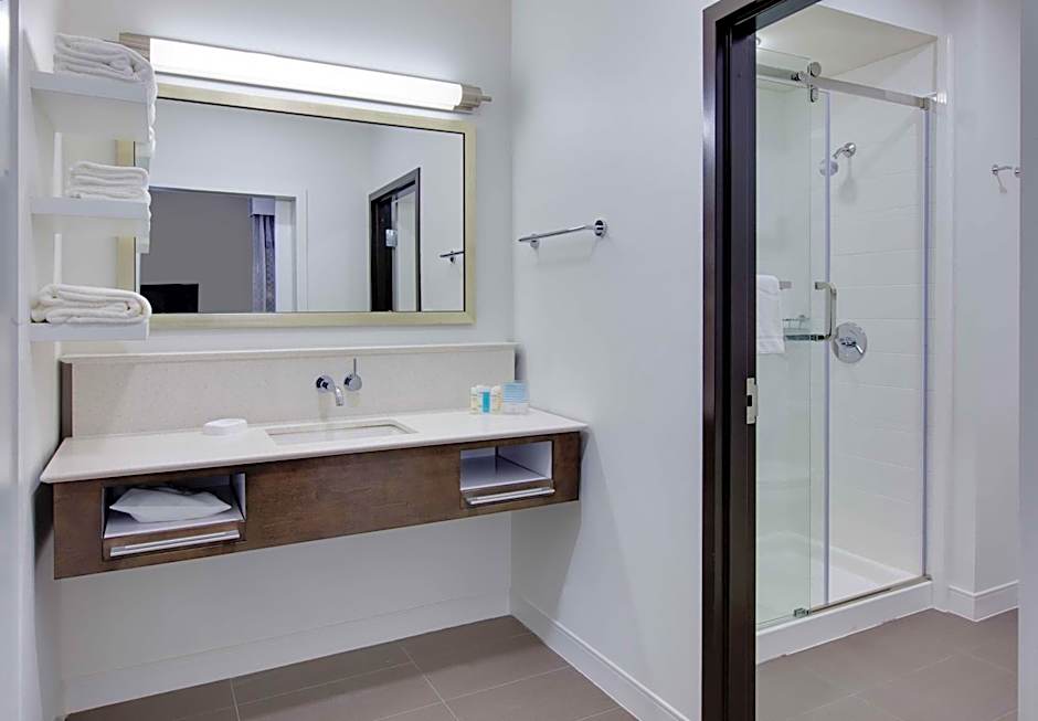 Hampton Inn By Hilton and Suites Tyler South